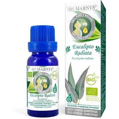 Marnys AA042 Körpercreme - Natürliches Eukalyptusöl Marnys AA042 Körpercreme - Natürliches Eukalyptusöl