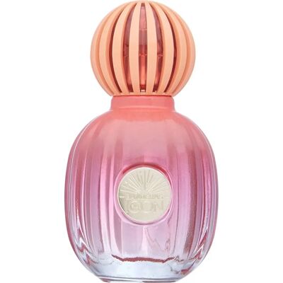 Antonio Banderas The Icon - Fresh, woody parfum for men Antonio Banderas The Icon - Fresh, woody parfum for men