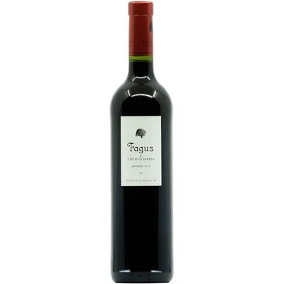 Bodegas Aragonesas Coto de Hayas Garnacha 2020 - Vin Rouge - Publicité Bodegas Aragonesas Coto de Hayas Garnacha 2020 - Vin Rouge - Publicité