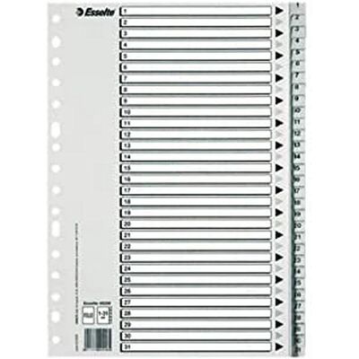 Séparateurs d'Index Multi-perforés Esselte 1-31 pour A4 - Index Separators Séparateurs d'Index Multi-perforés Esselte 1-31 pour A4 - Index Separators
