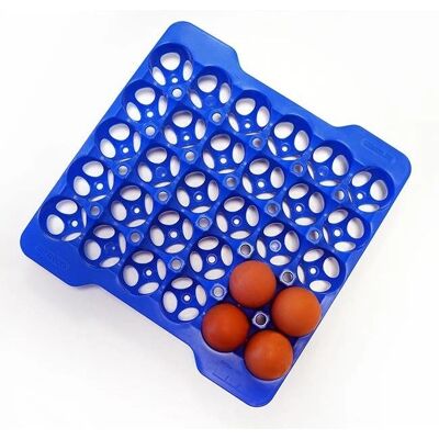 Araven Eierablage Ersatz - 29x29x4 cm - Blau Araven Eierablage Ersatz - 29x29x4 cm - Blau