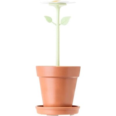 VIGAR - Porta spazzolini a forma di fiore - Accessori bagno VIGAR - Porta spazzolini a forma di fiore - Accessori bagno