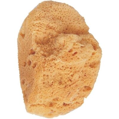 Beter Small Natural Sea Sponge - Bath sponge Beter Small Natural Sea Sponge - Bath sponge