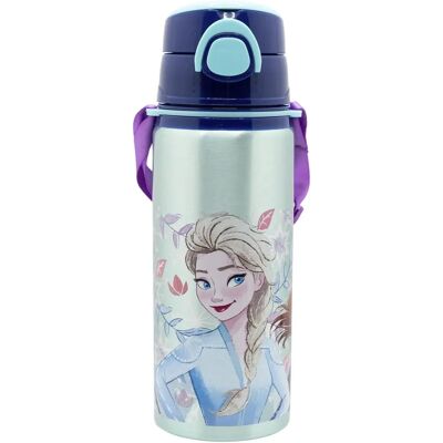 Botella de agua Frozen Snowy Tale aluminio - Water bottle Botella de agua Frozen Snowy Tale aluminio - Water bottle