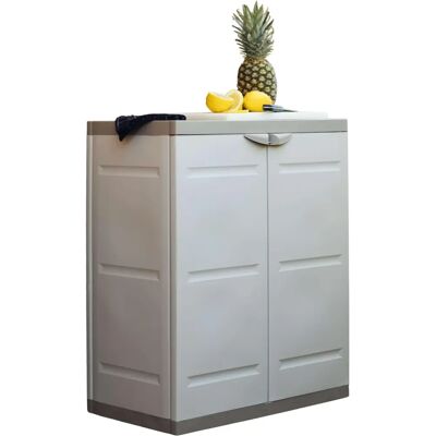 Armoire Basse en Titane avec Étagères - Rangement - Publicité Armoire Basse en Titane avec Étagères - Rangement - Publicité
