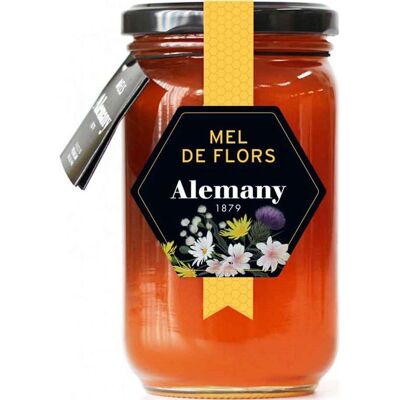 Miel Mil Flores - Miel Miel Mil Flores - Miel