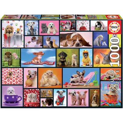 Puzzle Educa 15518 - 1000 Pezzi - Collage Animali Domestici Puzzle Educa 15518 - 1000 Pezzi - Collage Animali Domestici