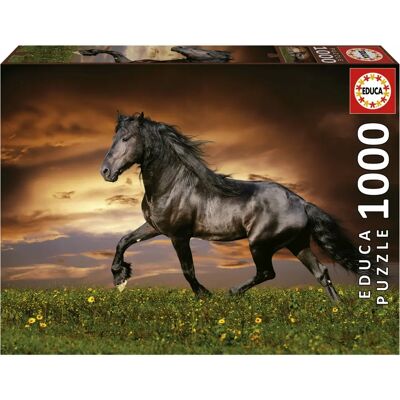 Educa 19555 Palapeli - 1000 palaa - Monivärinen - 68x48cm - Puzzle Educa 19555 Palapeli - 1000 palaa - Monivärinen - 68x48cm - Puzzle