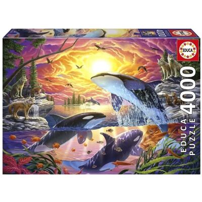 Educa Puzzle Orche E Lupi - Puzzle mit 1000 Teilen Educa Puzzle Orche E Lupi - Puzzle mit 1000 Teilen