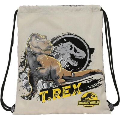Gyermek hátizsák Jurassic World Szürke 35x40x1cm Gyermek hátizsák Jurassic World Szürke 35x40x1cm