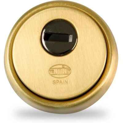 AMIG Beveiligingsschild Mod.31 - Versterkt Staal, Goud Finish AMIG Beveiligingsschild Mod.31 - Versterkt Staal, Goud Finish