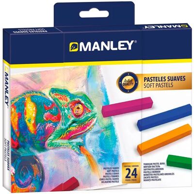Torte Multicolore Manley - 24 Pezzi Torte Multicolore Manley - 24 Pezzi