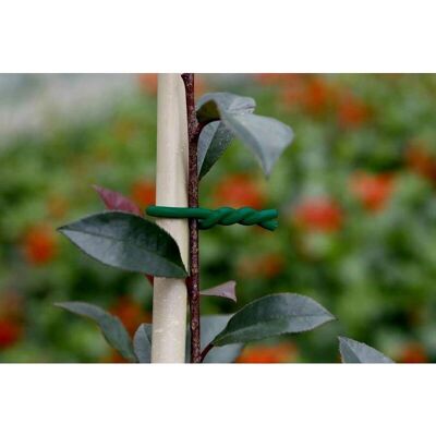 NORTENE NORTENE BIFLEX Filet de Soutien pour Plantes - Filet de Soutien - Publicité NORTENE NORTENE BIFLEX Filet de Soutien pour Plantes - Filet de Soutien - Publicité