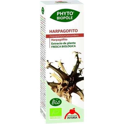 Intersa Harpagophyte 50ml - Nahrungsergänzung Intersa Harpagophyte 50ml - Nahrungsergänzung