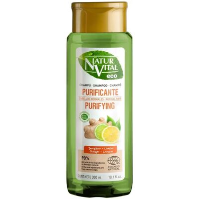 Shampoos Eco Purificante Gengibre e Limão - Cuidados com o Cabelo Shampoos Eco Purificante Gengibre e Limão - Cuidados com o Cabelo