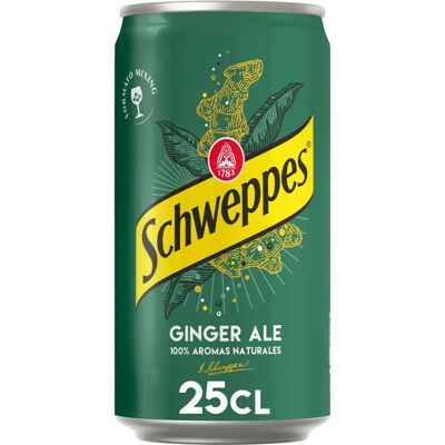 Schweppes Ginger Ale - Boisson rafraîchissante - 250 ml - Publicité Schweppes Ginger Ale - Boisson rafraîchissante - 250 ml - Publicité