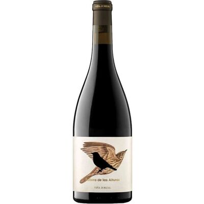 Viña Zorzal Señora de las Alturas 2021 - Vin Rouge - Publicité Viña Zorzal Señora de las Alturas 2021 - Vin Rouge - Publicité