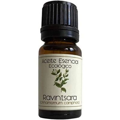 Aceite Esencial Orgánico Ravintsara - 12ml - Aceite Esencial Aceite Esencial Orgánico Ravintsara - 12ml - Aceite Esencial