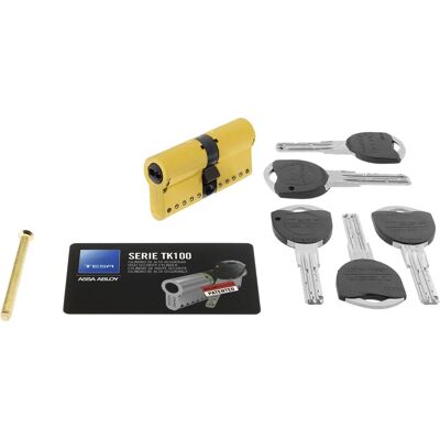 TESA ASSA ABLOY TK100 eurozamek 40x60 - R15 - Cylindry TESA ASSA ABLOY TK100 eurozamek 40x60 - R15 - Cylindry