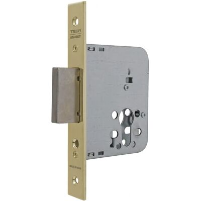 Tesa Assa Abloy R.4031-60 Zamek - Zabudowany zamek, tylko klucz, bez cylindra Tesa Assa Abloy R.4031-60 Zamek - Zabudowany zamek, tylko klucz, bez cylindra