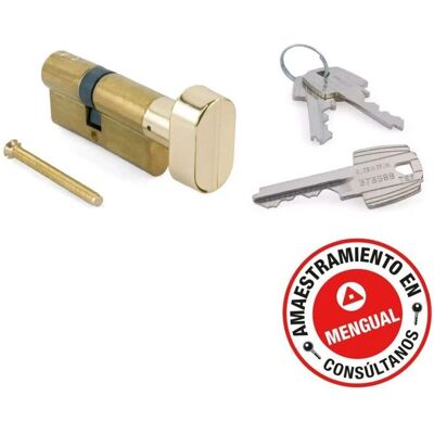 Tesa Assa Abloy Cilindro Tesa 5030 Níquel - Cerradura Segura para Madera Tesa Assa Abloy Cilindro Tesa 5030 Níquel - Cerradura Segura para Madera