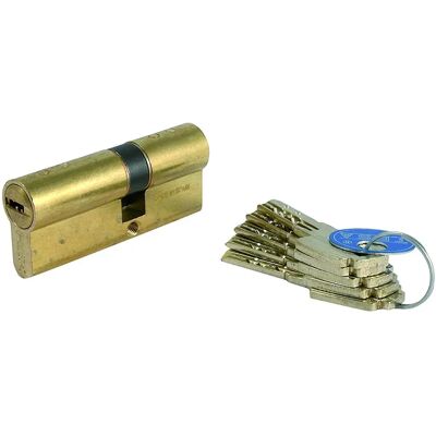 Tesa T80 Sicherheitszylinder - Lange Leva R15 Tesa T80 Sicherheitszylinder - Lange Leva R15