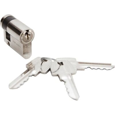 Cylindre de sécurité TESA TE5 50x10mm Nickel - Sécurité Européenne - Publicité Cylindre de sécurité TESA TE5 50x10mm Nickel - Sécurité Européenne - Publicité