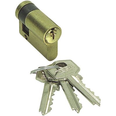 Cylindre de serrure en laiton Tesa TE5 - Sécurité standard Cylindre de serrure en laiton Tesa TE5 - Sécurité standard
