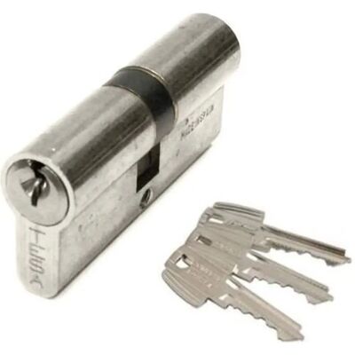 TESA ASSA ABLOY Cylindre TE5 - Nickel - 45x45mm - Publicité TESA ASSA ABLOY Cylindre TE5 - Nickel - 45x45mm - Publicité