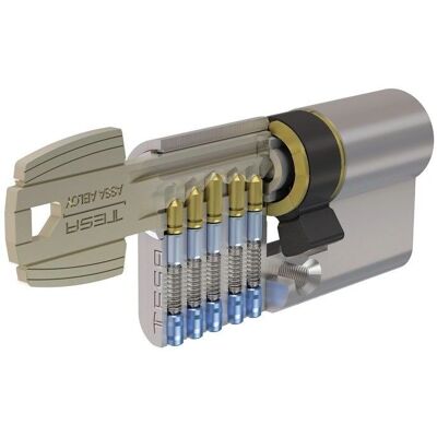 TESA ASSA ABLOY - Modello 78565B Cilindro Nichelato - Lucchetto di Sicurezza Base TESA ASSA ABLOY - Modello 78565B Cilindro Nichelato - Lucchetto di Sicurezza Base