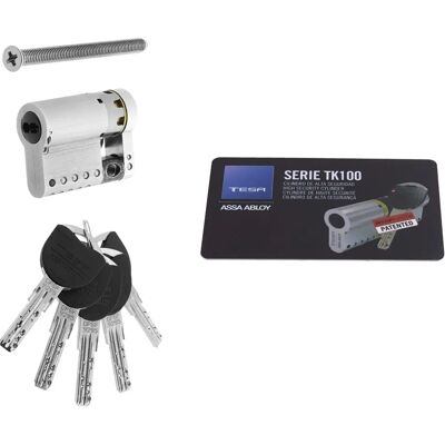 TESA ASSA ABLOY - TK100 - Nickel - 40x10 - Lock cylinder TESA ASSA ABLOY - TK100 - Nickel - 40x10 - Lock cylinder