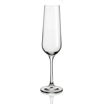 Bohemia Belia Champagnerglas Set mit 6 - Klare Blumenmuster Bohemia Belia Champagnerglas Set mit 6 - Klare Blumenmuster