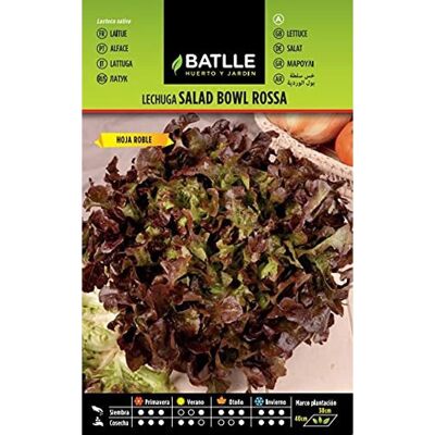 BATLLE Rood Roble Bladslatenseeds - Zaden voor Salade BATLLE Rood Roble Bladslatenseeds - Zaden voor Salade