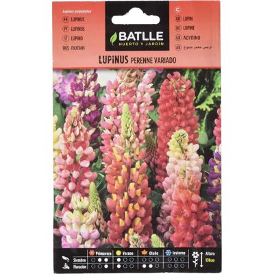 Semi di Lupino Perenne Variopinto - Regalo per Giardino - Batlle Semi di Lupino Perenne Variopinto - Regalo per Giardino - Batlle