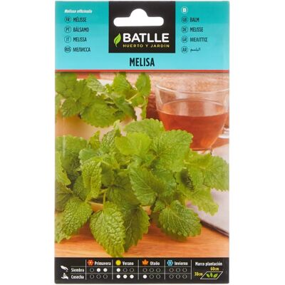 Graines de Mélisse Batlle - 60cm - Graines - 60cm - Publicité Graines de Mélisse Batlle - 60cm - Graines - 60cm - Publicité