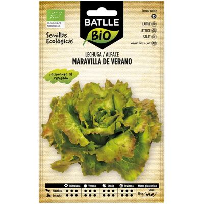 Semillas ecológicas de lechuga Maravilla de Verano - Batlle Semillas ecológicas de lechuga Maravilla de Verano - Batlle