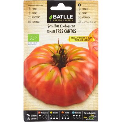 Semences de Tomate Rose Bio Batlle - 175 Semences - Publicité Semences de Tomate Rose Bio Batlle - 175 Semences - Publicité