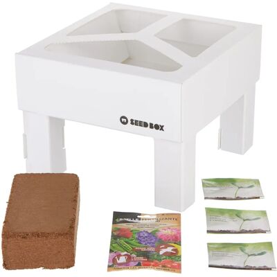 Batlle Caja de Semillas Urbana - Kit de Semillas - Caja Compacta de Cultivo - Tipo de Producto Batlle Caja de Semillas Urbana - Kit de Semillas - Caja Compacta de Cultivo - Tipo de Producto
