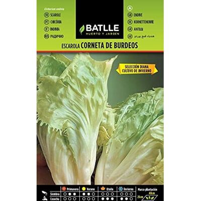 BATLLE Corneta de Burdeos Zaden - Brede Bladeren, Herfstoogst BATLLE Corneta de Burdeos Zaden - Brede Bladeren, Herfstoogst