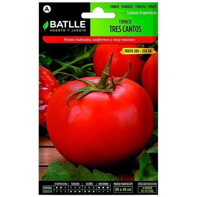 Semillas de Tomate Tres Cantos de Batlle - Alta Producción, 3 Meses Semillas de Tomate Tres Cantos de Batlle - Alta Producción, 3 Meses