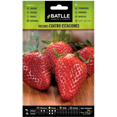 Batlle - Semences Fraises 4 Saisons - Publicité Batlle - Semences Fraises 4 Saisons - Publicité