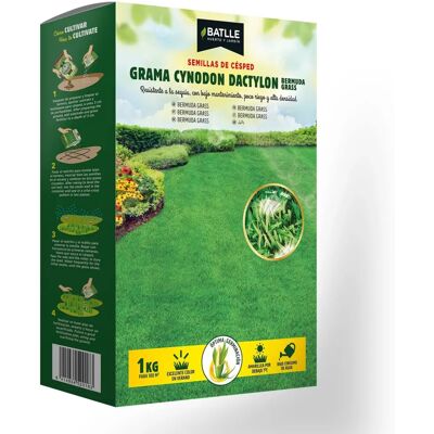 Semillas de Césped Cynodon Dactylon Batlle - Siembra de verano - 1kg Semillas de Césped Cynodon Dactylon Batlle - Siembra de verano - 1kg
