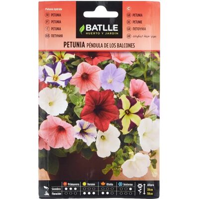 Graines de Petunia Pendula de Los Balcones - Publicité Graines de Petunia Pendula de Los Balcones - Publicité
