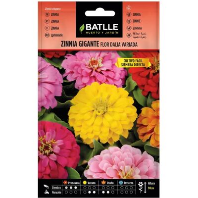 BATLLE - Zinnia Gigante Flor Dahlia - Varied - Seeds - Publicité BATLLE - Zinnia Gigante Flor Dahlia - Varied - Seeds - Publicité
