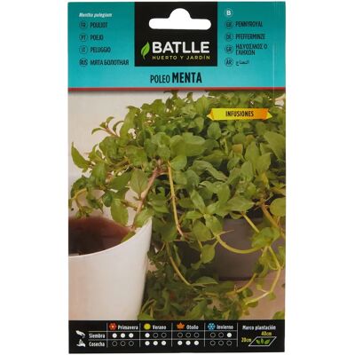 Semillas de Menta Poleo Batlle - Planta perenne - Para infusiones Semillas de Menta Poleo Batlle - Planta perenne - Para infusiones