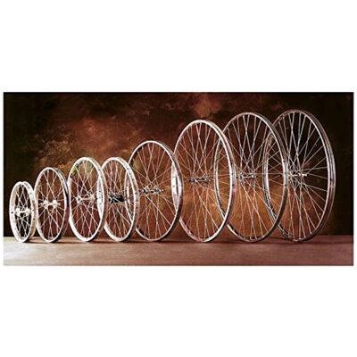 Ruota anteriore Gurpil 600 x 32 - Argento, 36 raggi Ruota anteriore Gurpil 600 x 32 - Argento, 36 raggi