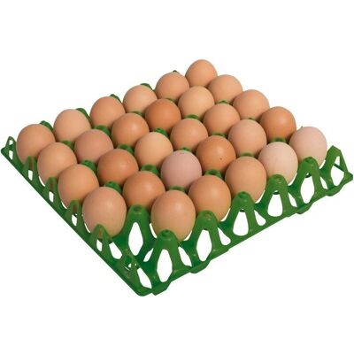 SUINGA - Bandeja para 30 Huevos - 30x30x5 cm - Bandeja de Huevos SUINGA - Bandeja para 30 Huevos - 30x30x5 cm - Bandeja de Huevos
