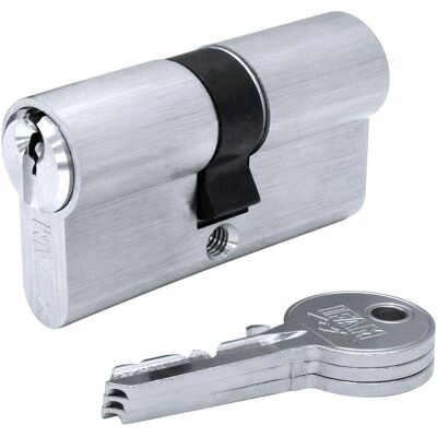 Cylindre Européen en Nickel IFAM F5S4040N - Came Longue - Publicité Cylindre Européen en Nickel IFAM F5S4040N - Came Longue - Publicité