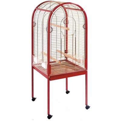 Jaula grande curva para aves - Suinga para loros y canarios Jaula grande curva para aves - Suinga para loros y canarios