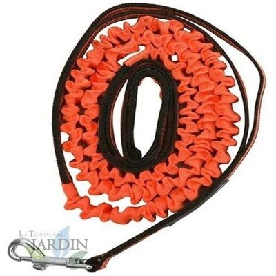 Guinzaglio per Cani SUINGA - 150cm Arancione - Ammortizzatore Elastico Guinzaglio per Cani SUINGA - 150cm Arancione - Ammortizzatore Elastico